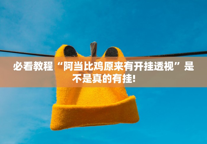 必看教程“阿当比鸡原来有开挂透视”是不是真的有挂!