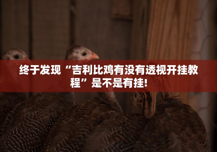 终于发现“吉利比鸡有没有透视开挂教程”是不是有挂!