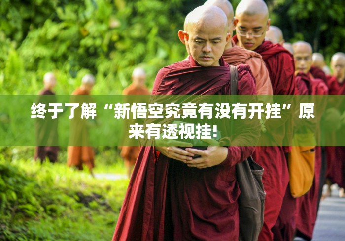 终于了解“新悟空究竟有没有开挂”原来有透视挂!