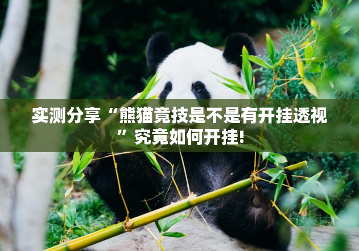 实测分享“熊猫竟技是不是有开挂透视”究竟如何开挂!