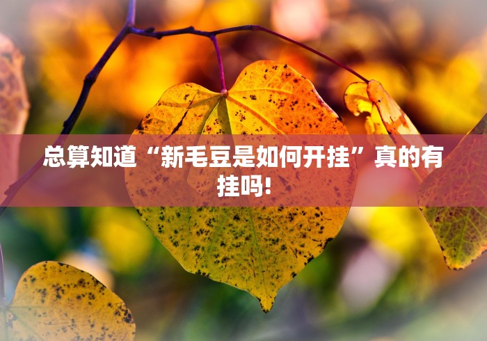 总算知道“新毛豆是如何开挂”真的有挂吗!