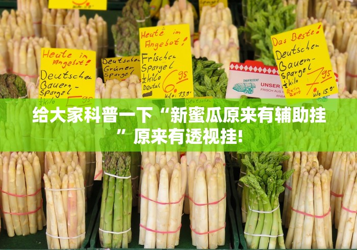 给大家科普一下“新蜜瓜原来有辅助挂”原来有透视挂!