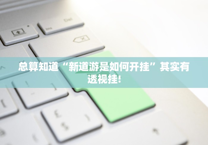 总算知道“新道游是如何开挂”其实有透视挂!