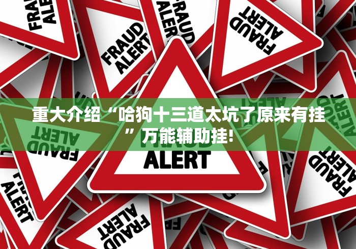 重大介绍“哈狗十三道太坑了原来有挂”万能辅助挂!