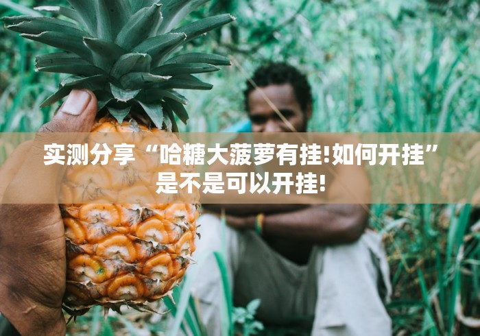 实测分享“哈糖大菠萝有挂!如何开挂”是不是可以开挂!