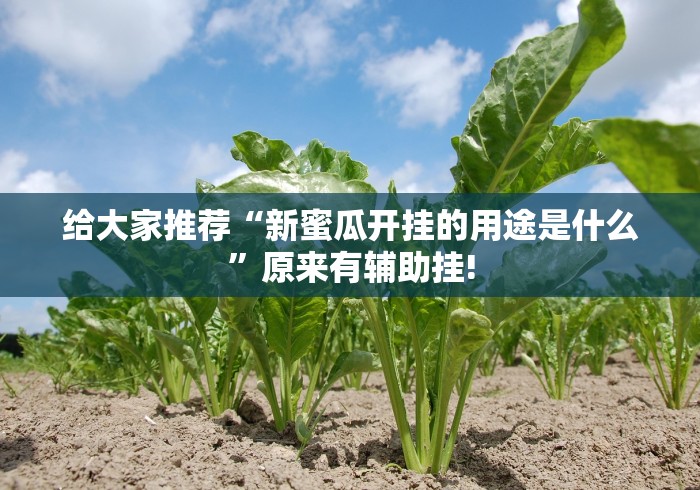 给大家推荐“新蜜瓜开挂的用途是什么”原来有辅助挂!