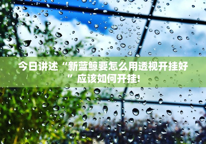 今日讲述“新蓝鲸要怎么用透视开挂好”应该如何开挂! 今日讲述“新蓝鲸要怎么用透视开挂好”应该如何开挂!