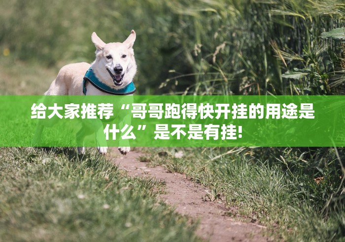 给大家推荐“哥哥跑得快开挂的用途是什么”是不是有挂! 给大家推荐“哥哥跑得快开挂的用途是什么”是不是有挂!