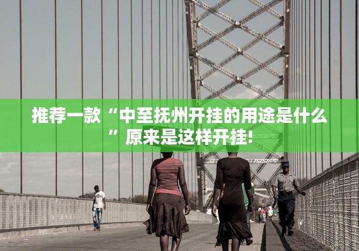 推荐一款“中至抚州开挂的用途是什么”原来是这样开挂!