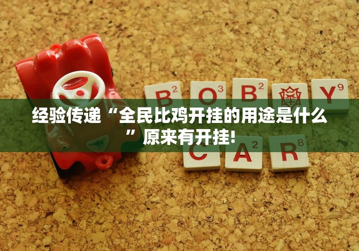 经验传递“全民比鸡开挂的用途是什么”原来有开挂!