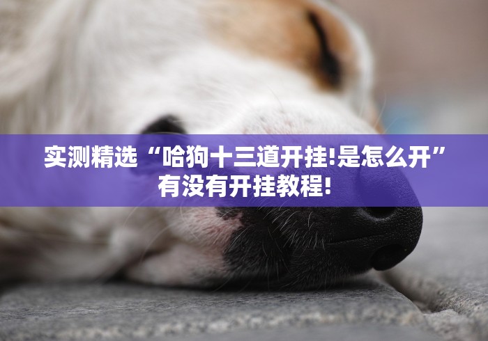 实测精选“哈狗十三道开挂!是怎么开”有没有开挂教程!