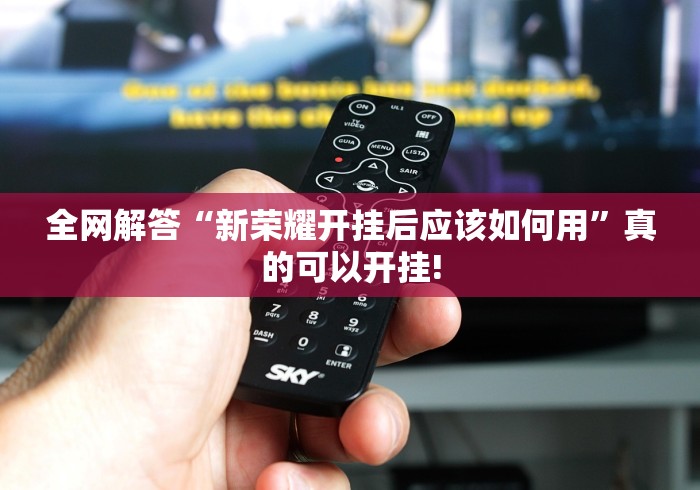 全网解答“新荣耀开挂后应该如何用”真的可以开挂! 全网解答“新荣耀开挂后应该如何用”真的可以开挂!