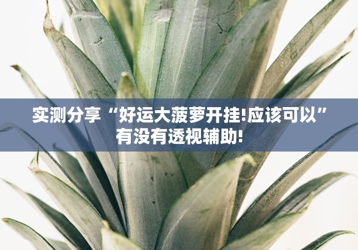 实测分享“好运大菠萝开挂!应该可以”有没有透视辅助!