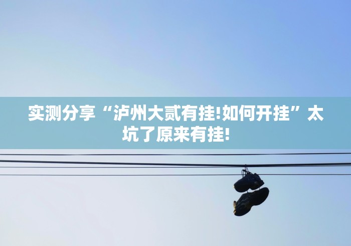 实测分享“泸州大贰有挂!如何开挂”太坑了原来有挂! 实测分享“泸州大贰有挂!如何开挂”太坑了原来有挂!