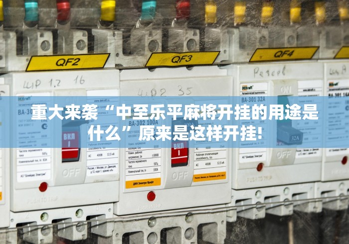 重大来袭“中至乐平麻将开挂的用途是什么”原来是这样开挂!