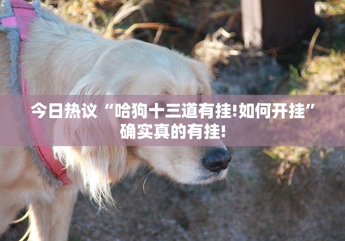 重磅.来袭“金牛座开挂!应该可以”其实是可以开挂! 重磅.来袭“金牛座开挂!应该可以”其实是可以开挂!