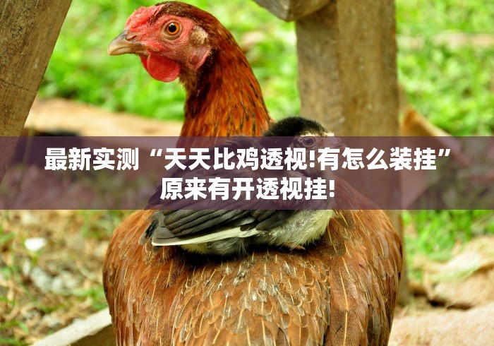 最新实测“天天比鸡透视!有怎么装挂”原来有开透视挂!