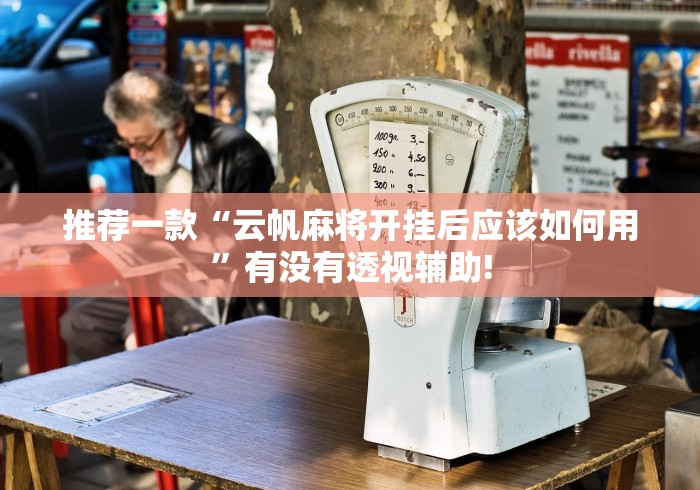 推荐一款“云帆麻将开挂后应该如何用”有没有透视辅助!