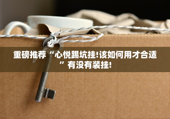 重磅推荐“心悦踢坑挂!该如何用才合适”有没有装挂!