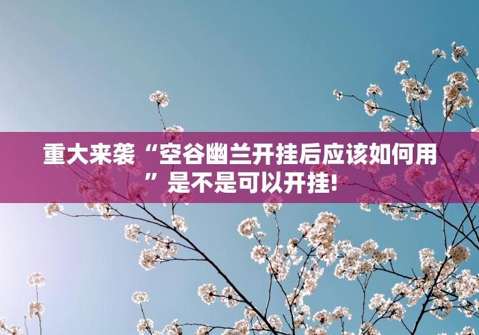 重大来袭“空谷幽兰开挂后应该如何用”是不是可以开挂!
