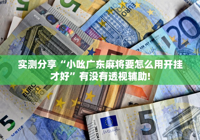 实测分享“小吆广东麻将要怎么用开挂才好”有没有透视辅助! 实测分享“小吆广东麻将要怎么用开挂才好”有没有透视辅助!