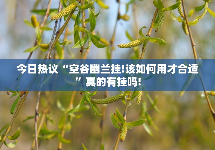 今日热议“空谷幽兰挂!该如何用才合适”真的有挂吗!