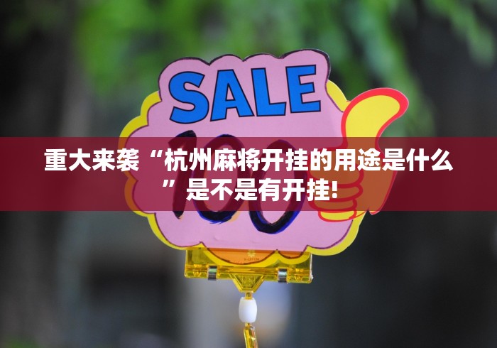 重大来袭“杭州麻将开挂的用途是什么”是不是有开挂!