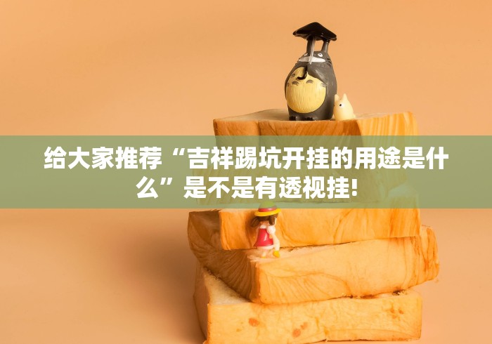 给大家推荐“吉祥踢坑开挂的用途是什么”是不是有透视挂!